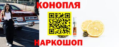 крисы Краснознаменск